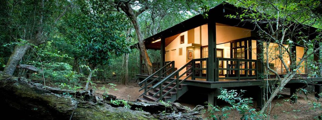 AndBeyond Phinda Forest Lodge glass and wood luxury safari lodge Phinda Private Game Reserve Zululand