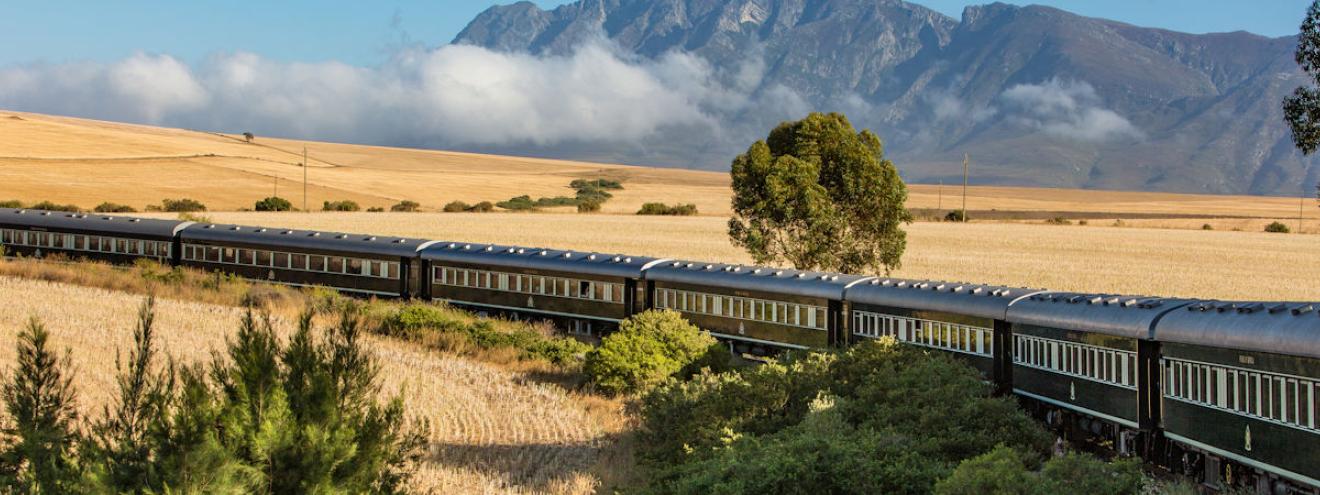 Rovos Rail African Collage Safari 9-day Pretoria to Cape Town luxury train South Africa