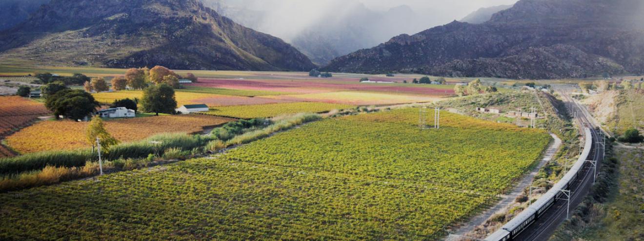 Rovos Rail Pride of Africa Cape Town to Pretoria luxury train safari South Africa