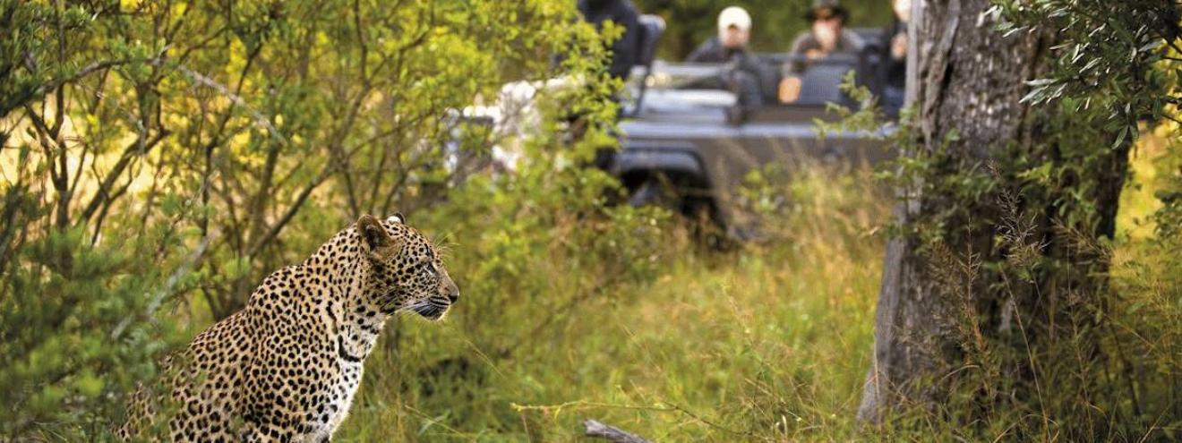 Lion Sands fly-in safari 4 days River Lodge Sabi Sand Sabie River Greater Kruger South Africa