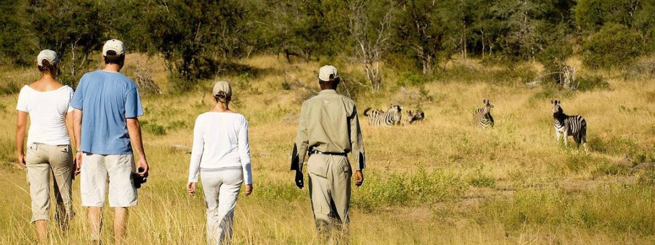 Ngala walking safari luxury tented camp Ngala Private Game Reserve Greater Kruger South Africa