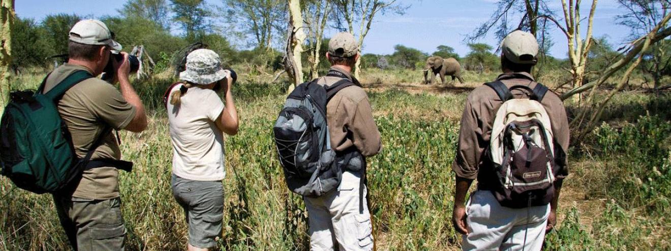 Pafuri walking safari rustic camping Luvuvhu River Pafuri concession northern Kruger South Africa
