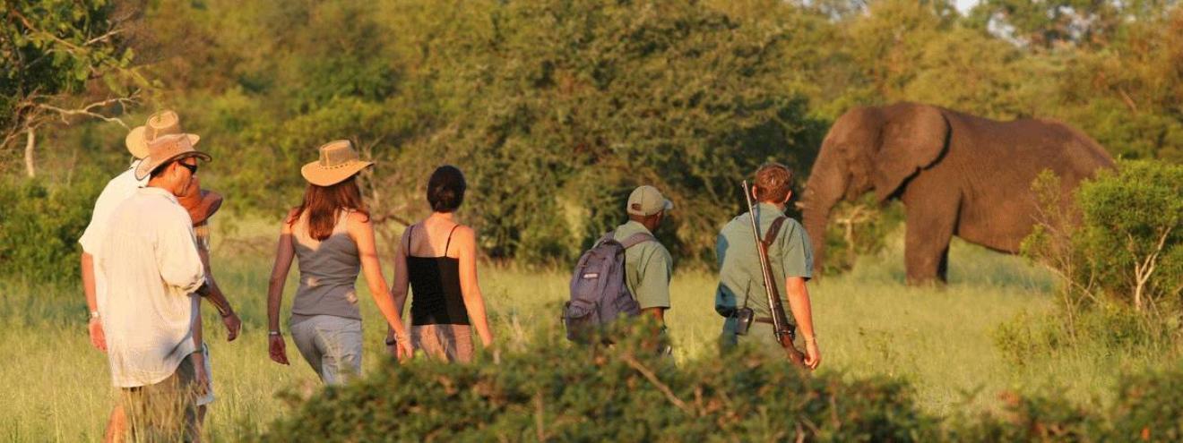 Rhino walking safari private concession inside Kruger National Park tailor-made South Africa