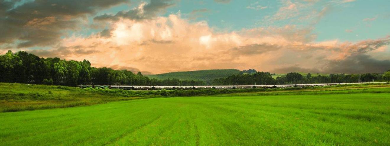 Rovos Rail Pride of Africa train Pretoria to Durban safari South Africa