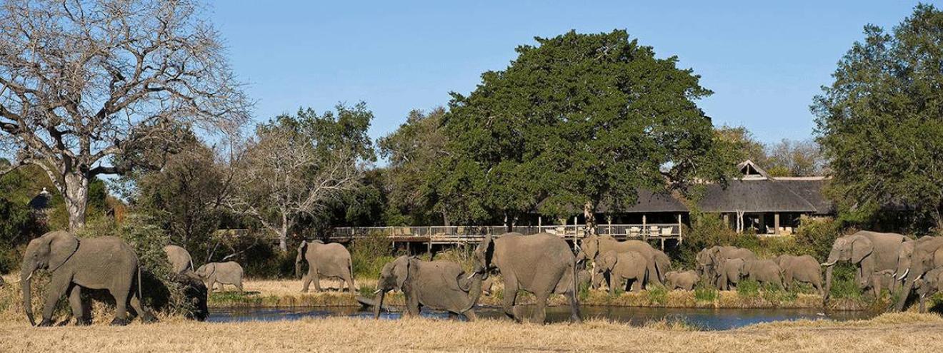 Sabi Sabi fly-in safari 4 days Bush Lodge Sabi Sand Game Reserve Greater Kruger South Africa