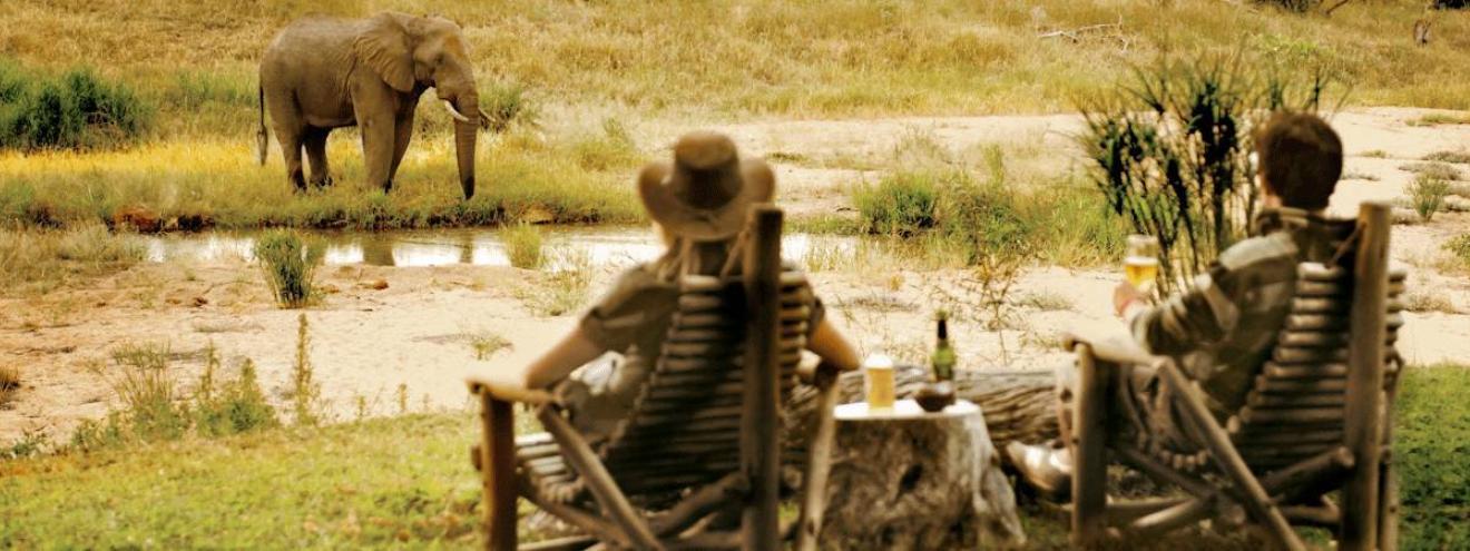 Timbavati Self Drive Safari 6 days Motswari Mpumalanga Panorama Route South Africa