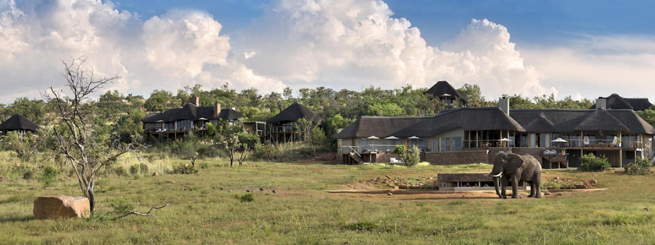 Mhondoro Safari Lodge within the Welgevonden Game Reserve