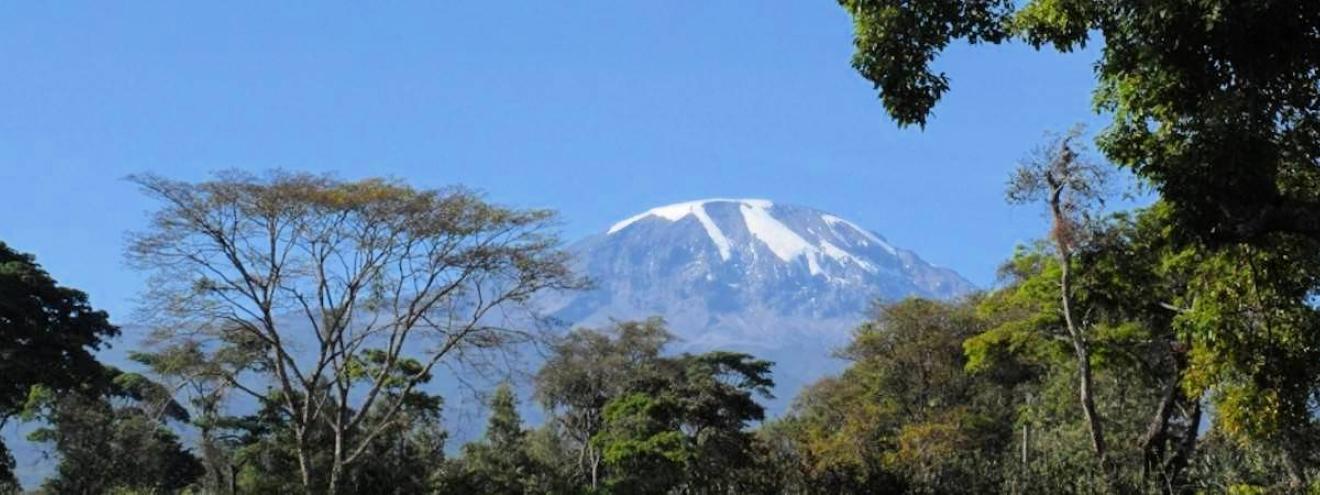 Arusha National Park 137km² Ngurdoto Crater Momella Lakes Mount Meru Colobus monkey Tanzania