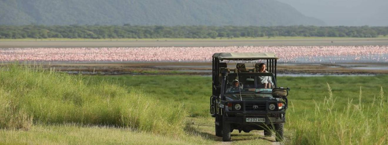 Lake Manyara National Park 330km² Great Rift Valley tree-climbing lions flamingos 350 species Tanzania