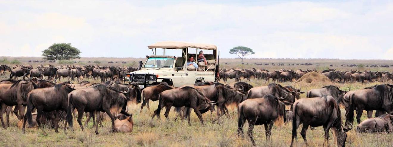 Serengeti National Park 30000km² Great Migration 2 million wildebeest UNESCO Tanzania