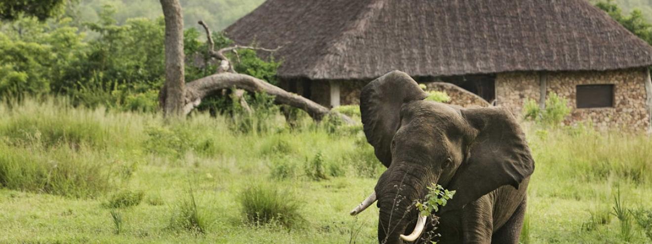 Beho Beho Camp 8 bandas cooler highlands first highland camp Selous Game Reserve Tanzania