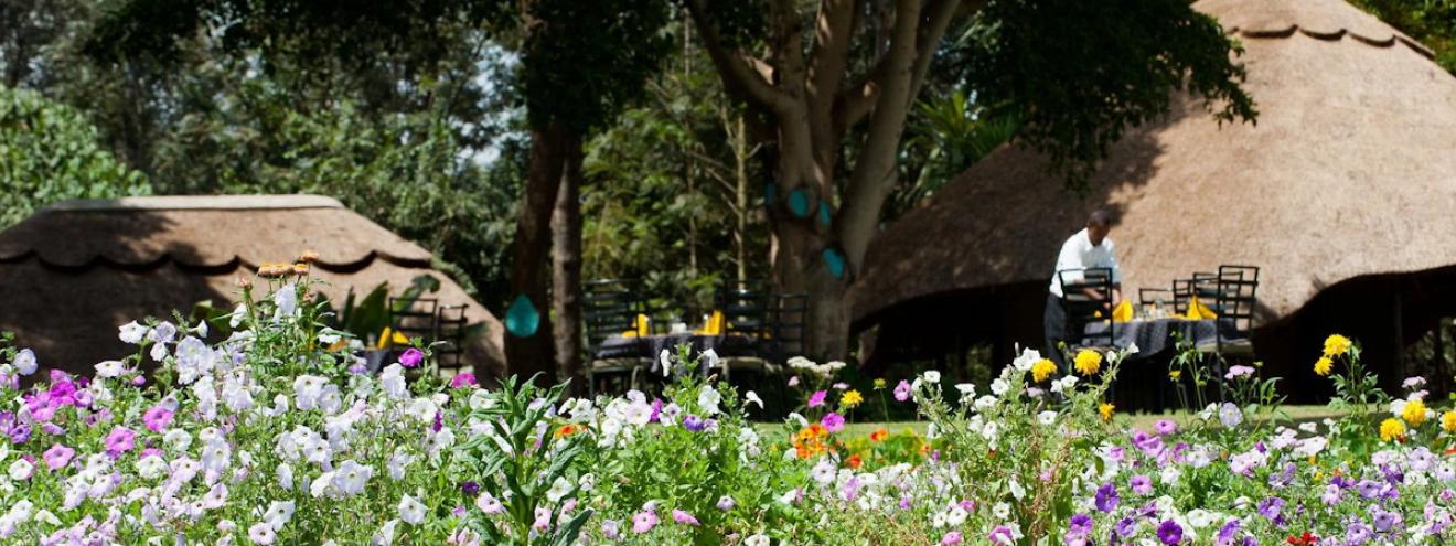Ngorongoro Farm House 52 rooms working coffee plantation 20 minutes Ngorongoro Tanzania