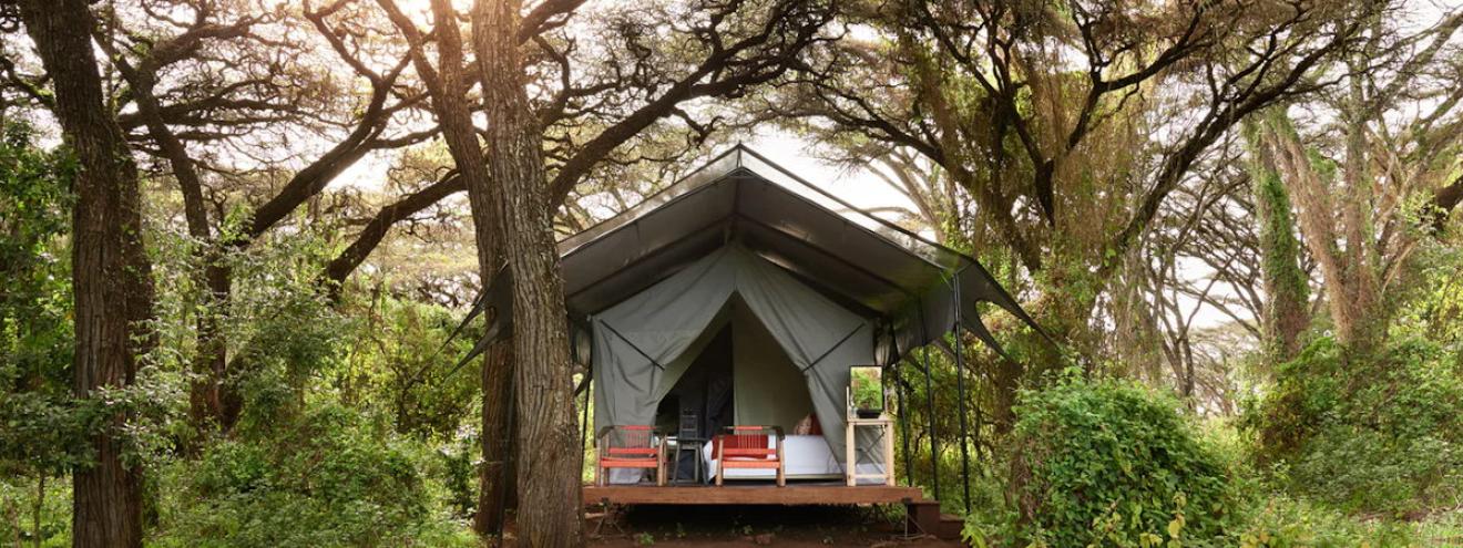 Sanctuary Ngorongoro Crater Camp 10 suites rim valley quick crater floor access Tanzania
