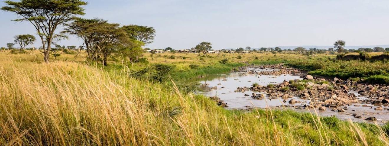 Singita Mara River Tented Camp 6 suites Lamai Triangle Mara River off-grid solar Tanzania