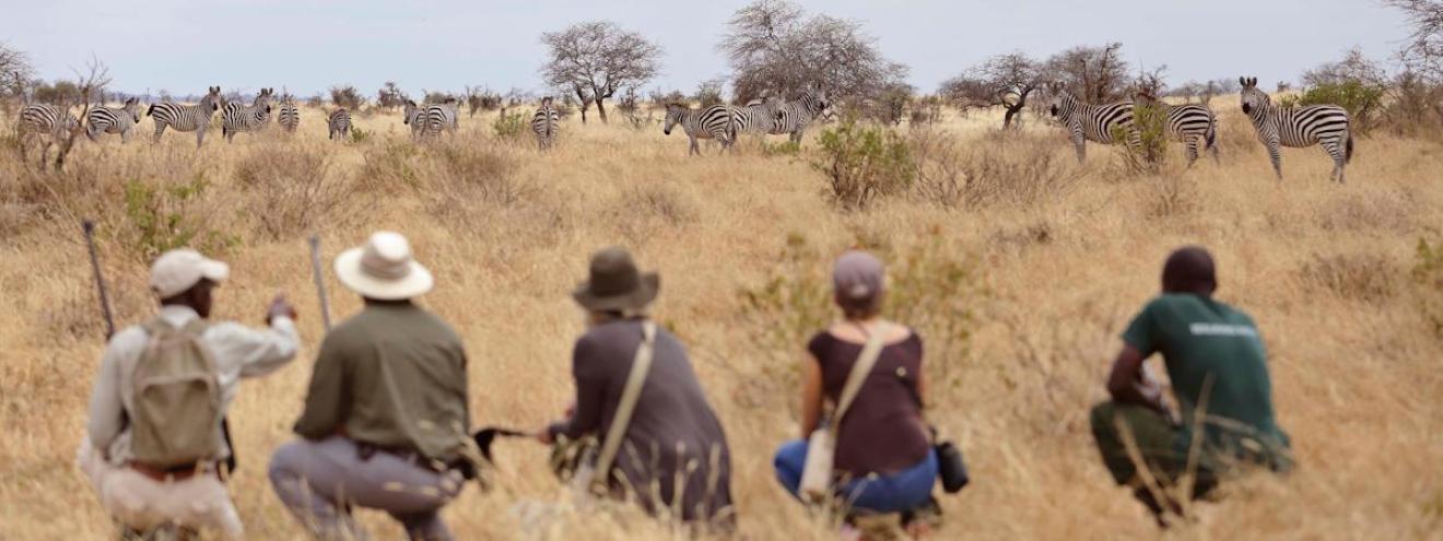 Best Asilia Walking Safari 13 days Tarangire Ngorongoro Serengeti Lake Victoria Tanzania