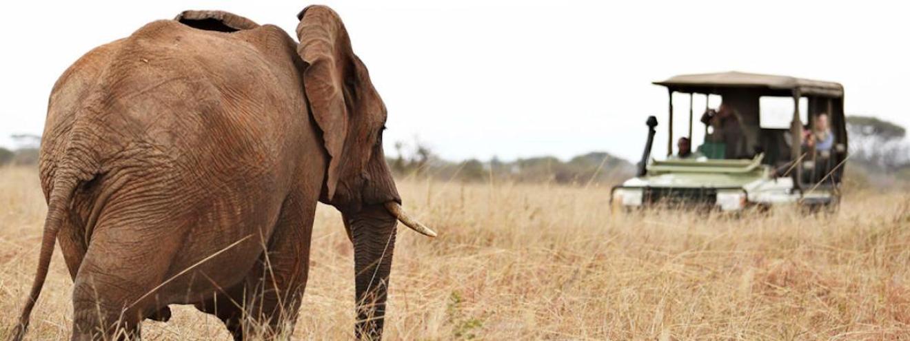 Best of Asilia Crater Safari 10 days Tarangire Ngorongoro Central Northern Serengeti Tanzania