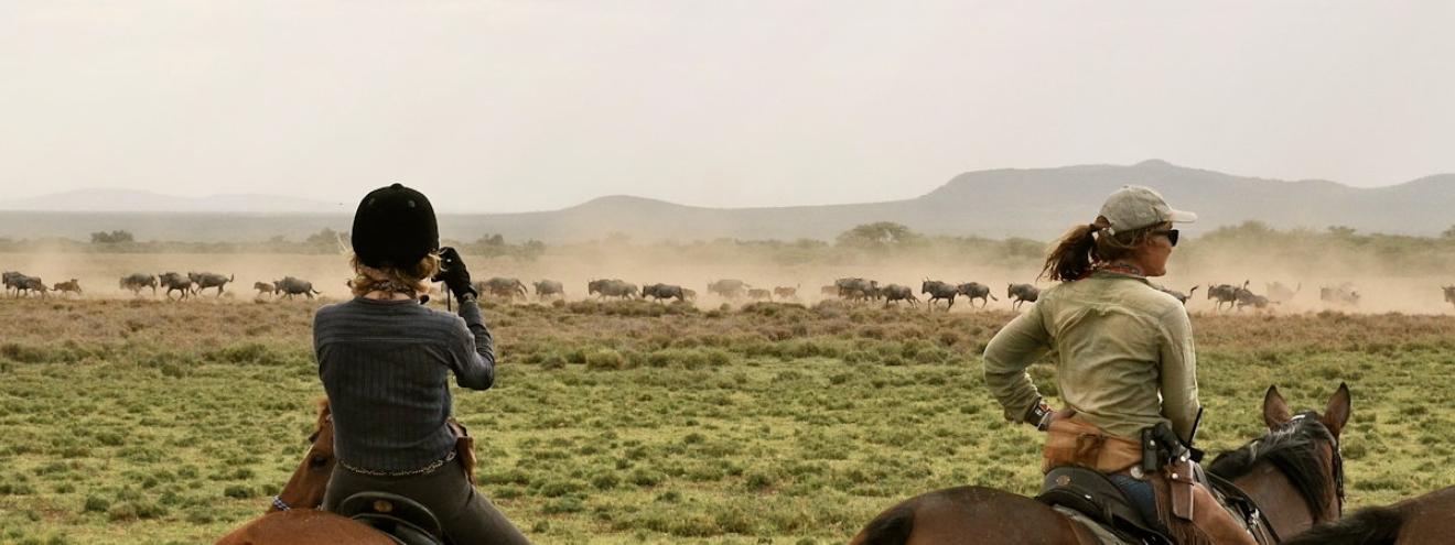 Lolkisale Horseback Safari 4 days Lolkisale Ranch Tarangire Series 1 Land Rovers Tanzania
