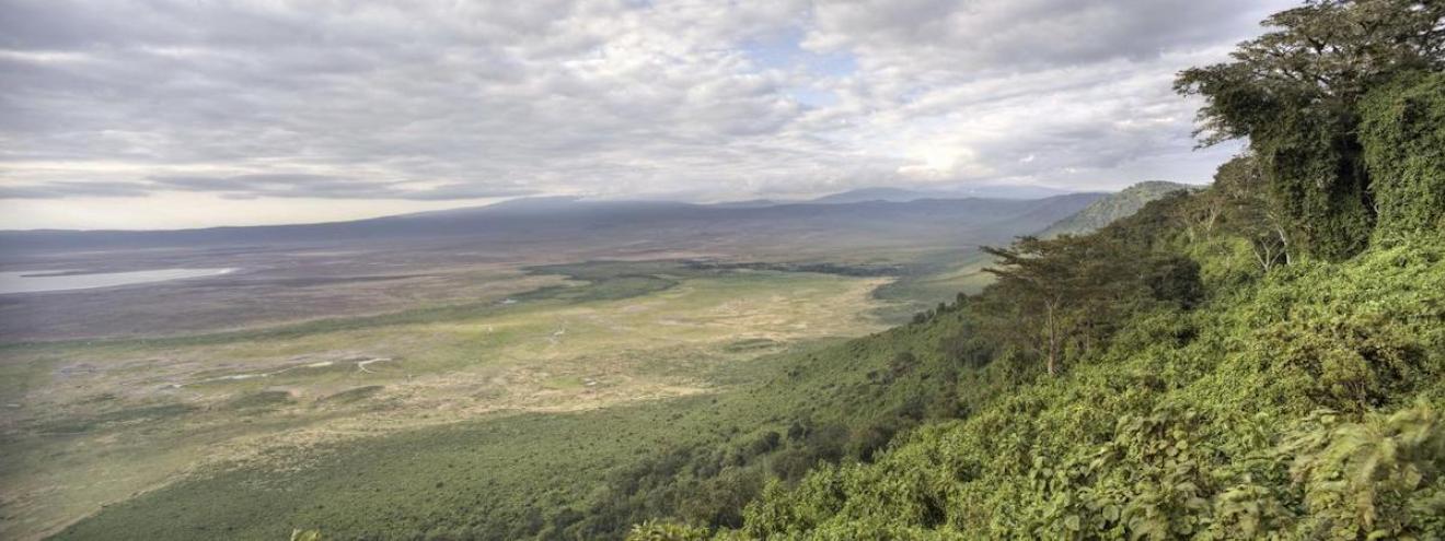 Luxury Tanzania North South Safari 10 days Ngorongoro Serengeti Ruaha fly-in