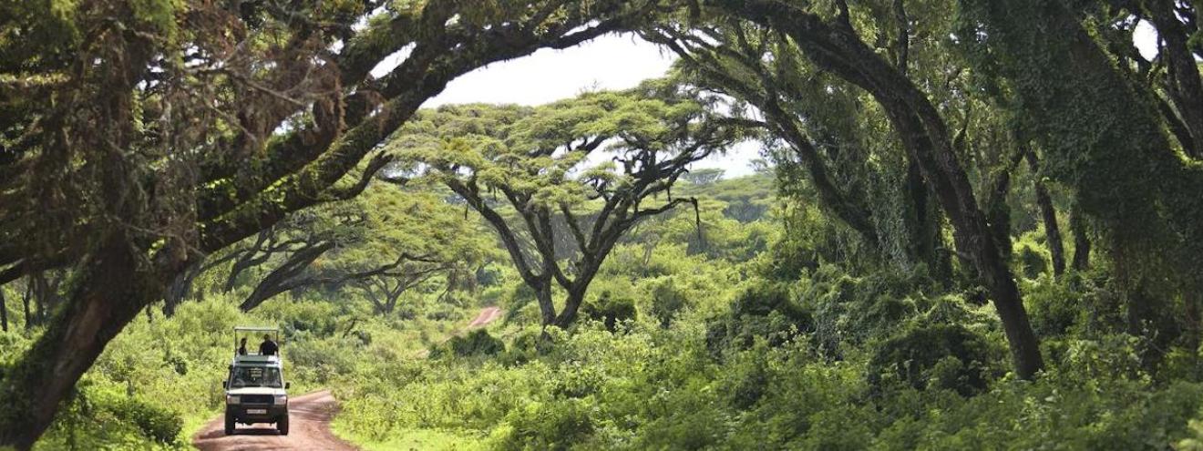 Migration Crater Beach Safari 12 days Oliver's Tarangire Highlands Ngorongoro Zanzibar Tanzania