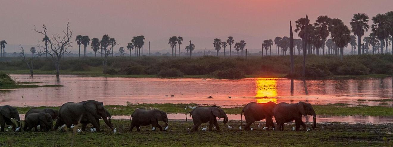 Ruaha & Selous Safari 8 days fly-in southern Tanzania Roho ya Selous Jabali Ridge