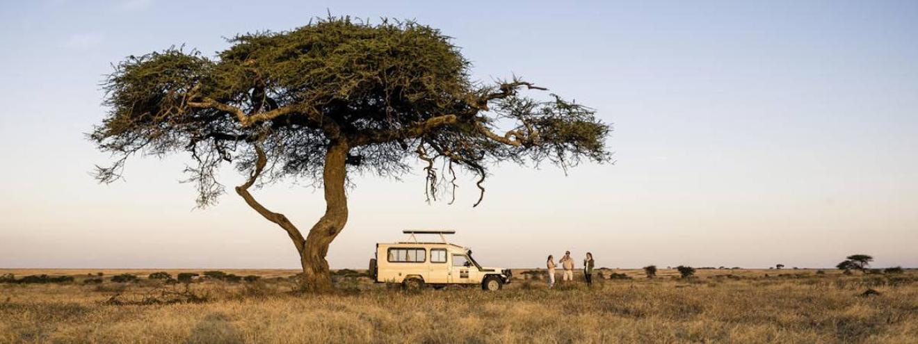 Serengeti Fly In Express 3 days daily departures Sanctuary Kusini southern Serengeti Tanzania