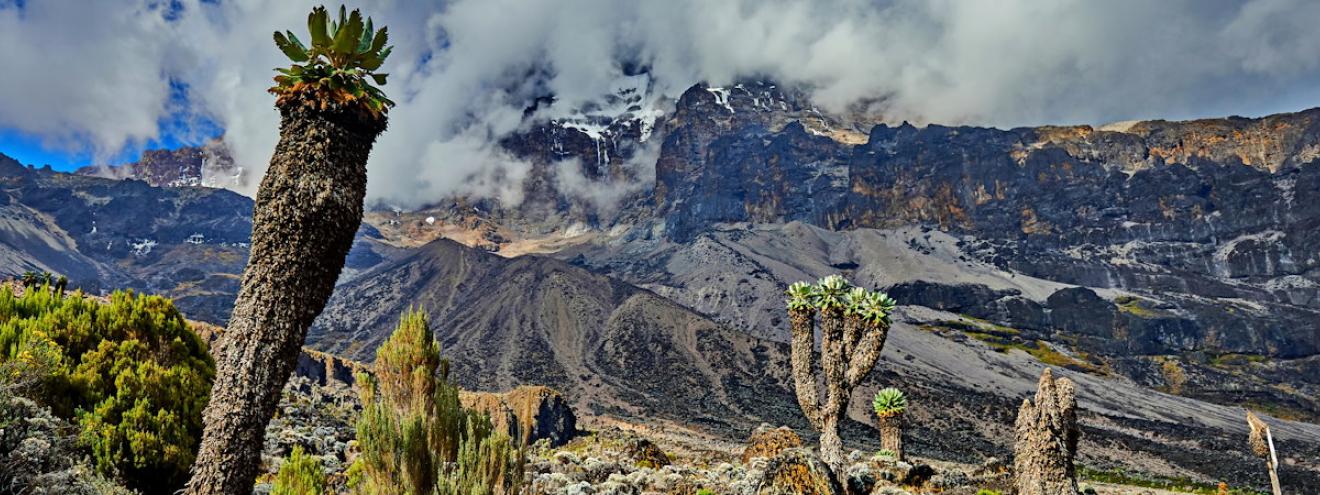 Kilimanjaro Marangu Route 7 days dormitory huts Mandara Horombo Kibo Uhuru Peak Tanzania