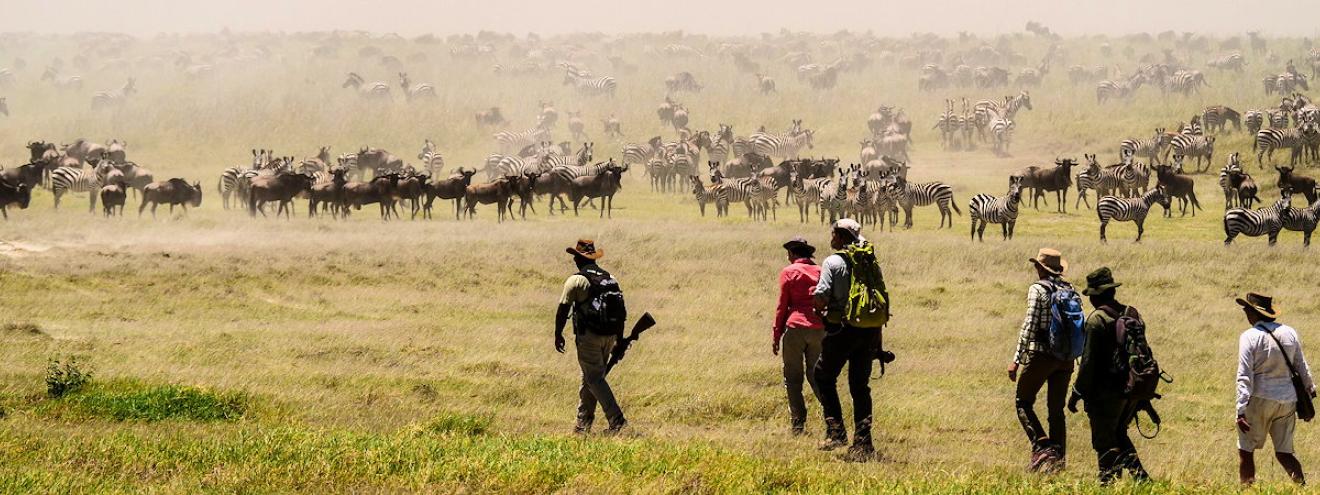 Walk The Great Migration 7 days Kimondo Dunia Camp Wayo Africa Serengeti Tanzania