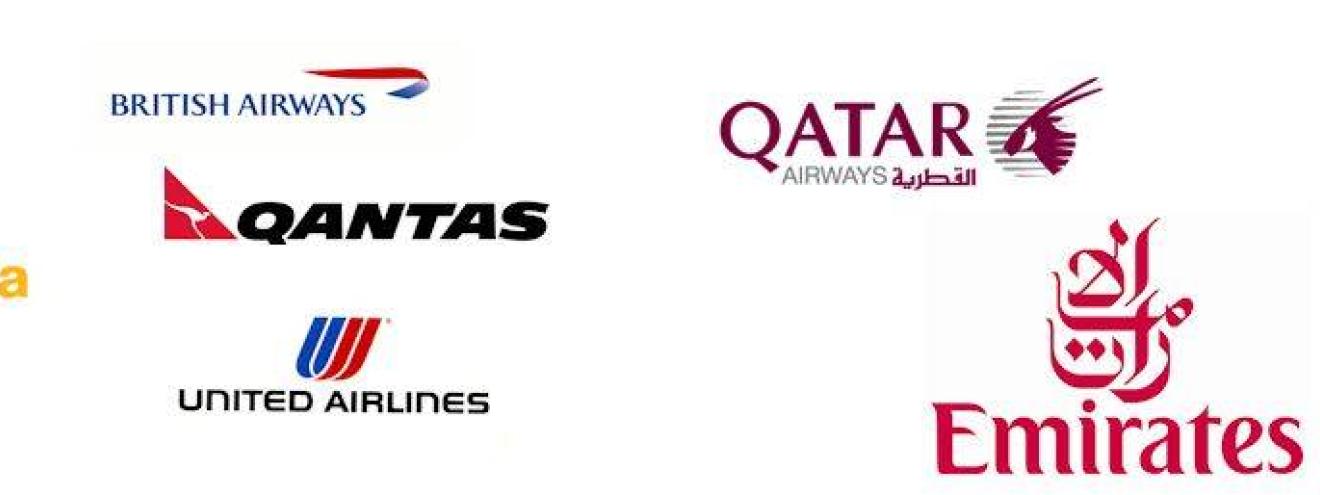 Flights to Africa scheduled charter international domestic safari bespoke itinerary booking