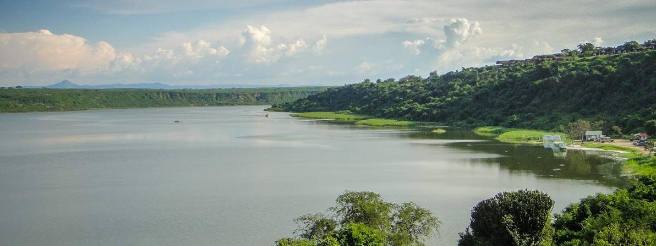 Queen Elizabeth National Park Uganda tree climbing lions Kazinga Channel 600 bird species