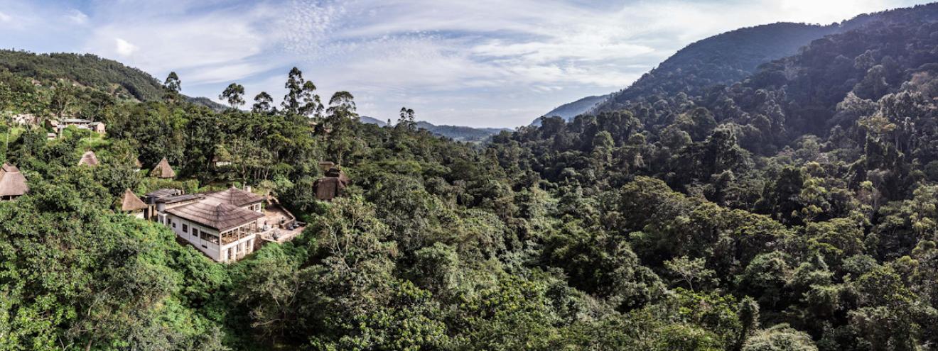 Volcanoes Bwindi Lodge 10 luxury thatched bandas Bwindi Impenetrable Forest Uganda