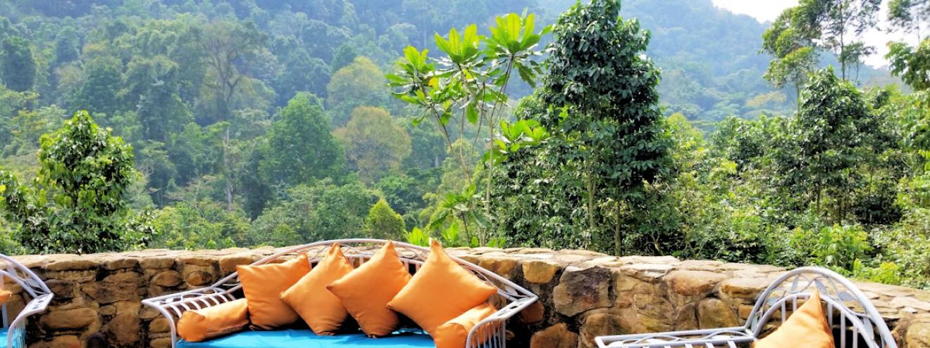 Engagi Lodge 8 forest cottages locally sourced rock eucalyptus Bwindi Forest Uganda