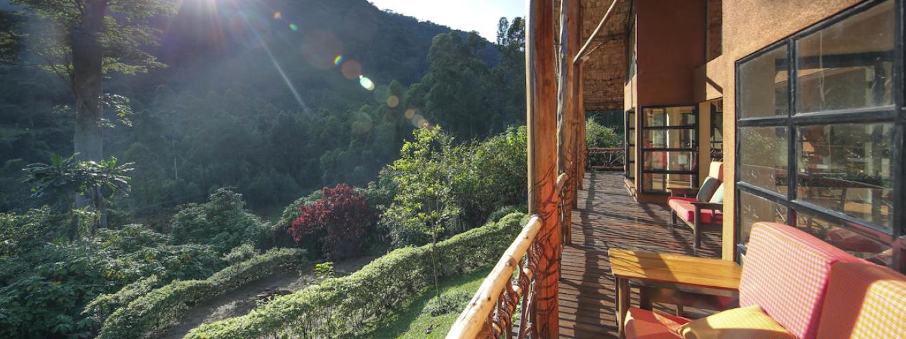 Mahogany Springs Lodge 12 thatched suites Munyanga River Bwindi Impenetrable Uganda