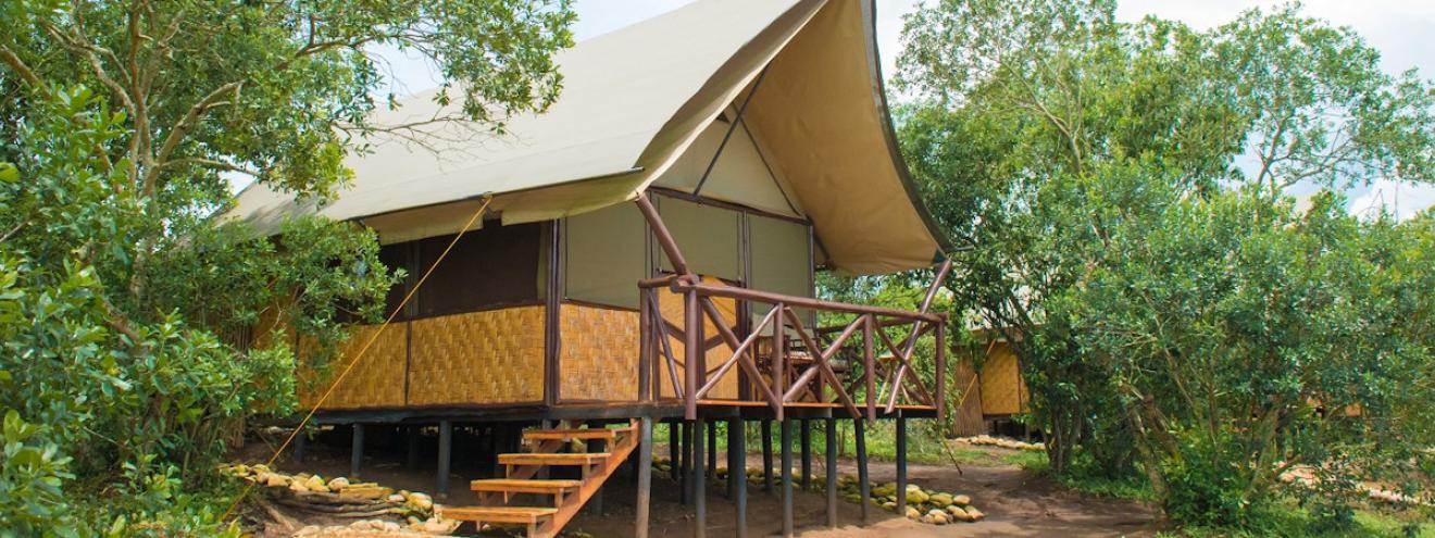 The Bush Lodge 12 bandas Kamera River Queen Elizabeth National Park Uganda budget