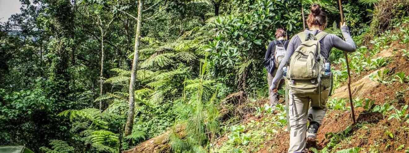 Uganda Fly In Safari 4 days Protea Entebbe Sanctuary Gorilla Forest Camp Kihihi flight