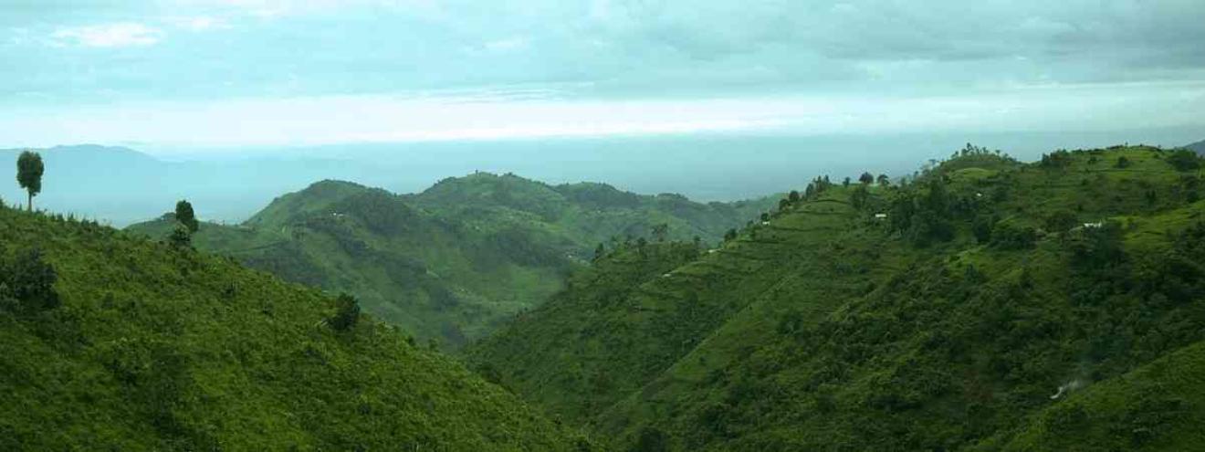 Glimpse of Gorilla Safari 5 days Bwindi Impenetrable National Park Uganda Kenya Tanzania add-on