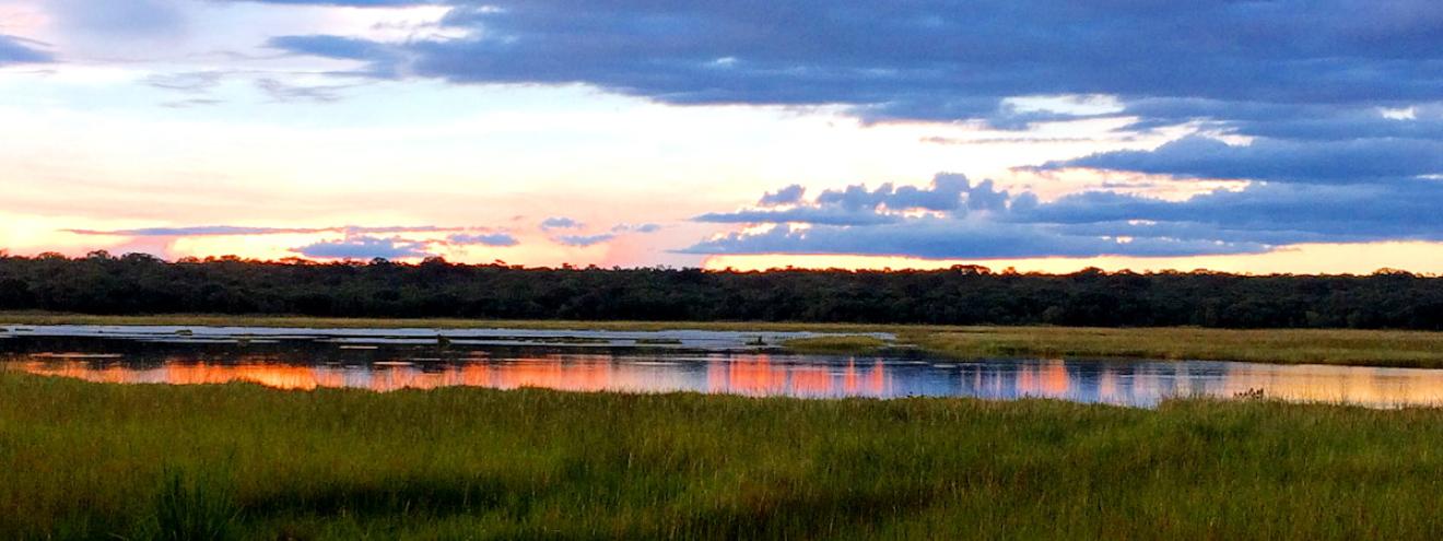 Kasanka National Park 450km² 10 million fruit bats annual migration November December Zambia