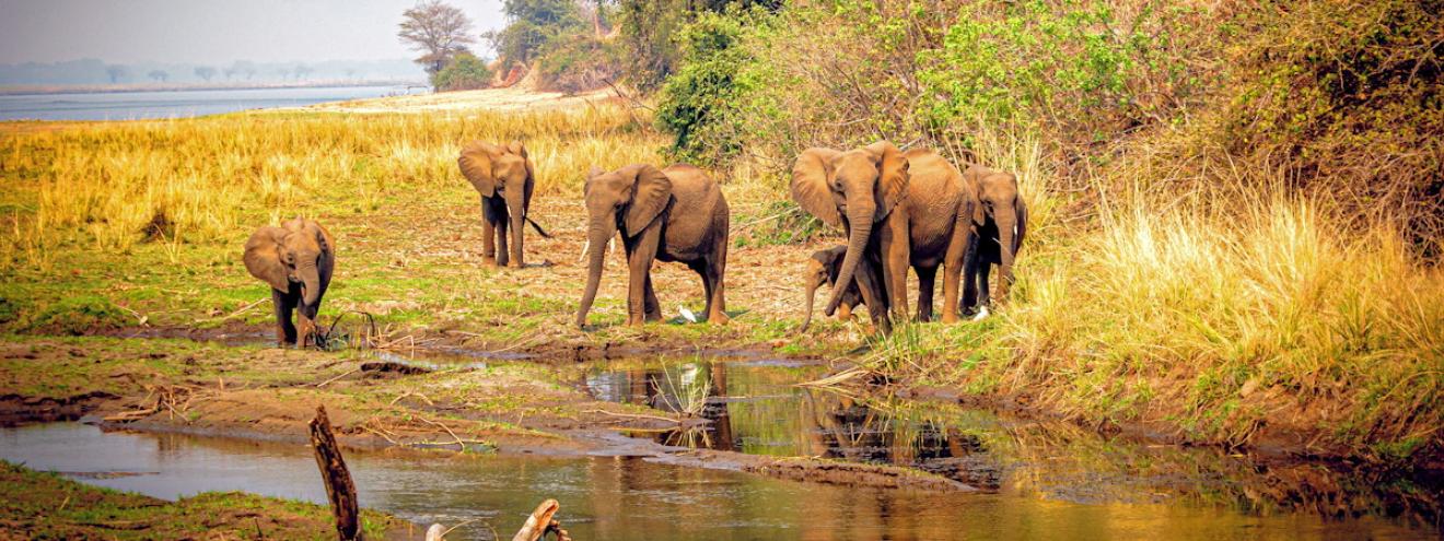 Lower Zambezi National Park 4092km² Zambezi River Escarpment canoeing Mana Pools Zambia