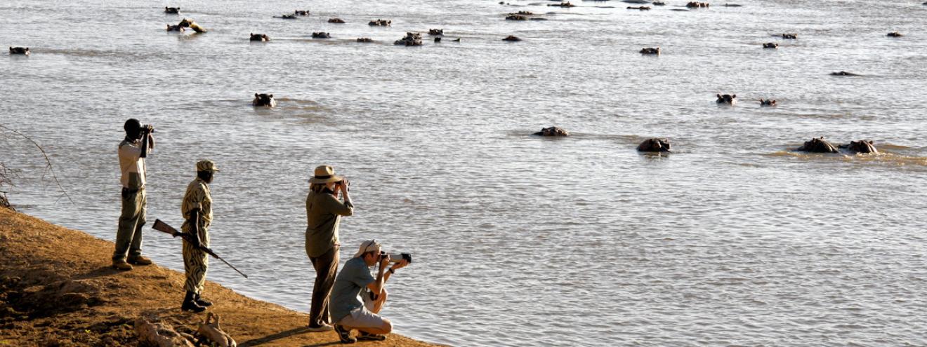 South Luangwa National Park 9050km² walking safari birthplace Thornicroft giraffe 50 hippos per km