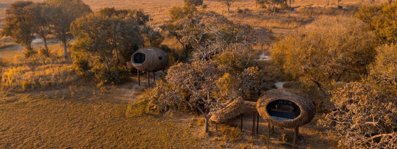 Chisa Busanga Camp 4 Nests tree-lined islet electric safaris Green Safaris Busanga Plains Zambia