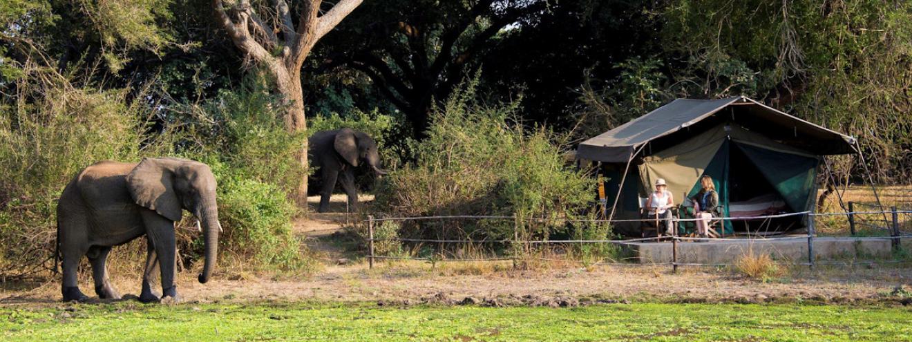 Flatdogs Camp friendly safari camp with expansive pool in South Luangwa National Park, Zambia