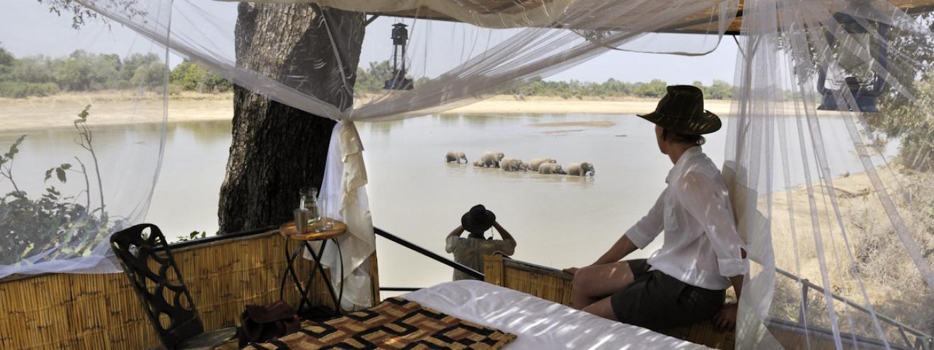 Kaingo Camp luxury chalets nestled securely along the shady banks of the Luangwa River
