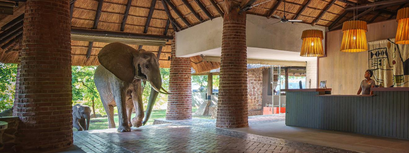 Mfuwe Lodge luxury thatched chalets beautifully positioned overlooking two active wildlife lagoons