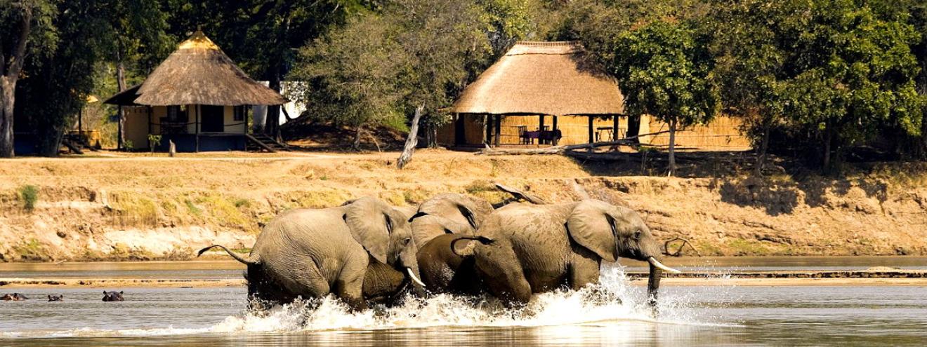 Nsefu Camp 6 rondavels original 1951 buildings Nsefu Sector South Luangwa Zambia