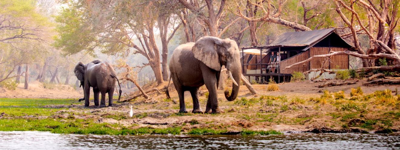Old Mondoro 5 safari chalets Zambezi River 35km downstream Chiawa Camp Lower Zambezi Zambia