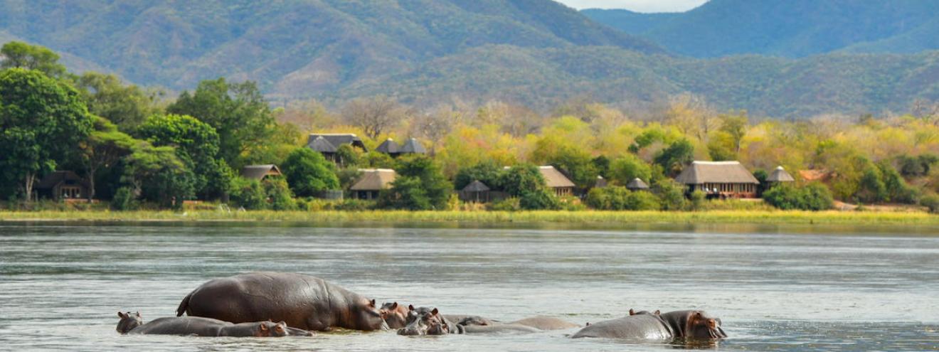Royal Zambezi Lodge 15 suites family-owned Mana Pools views Lower Zambezi National Park Zambia