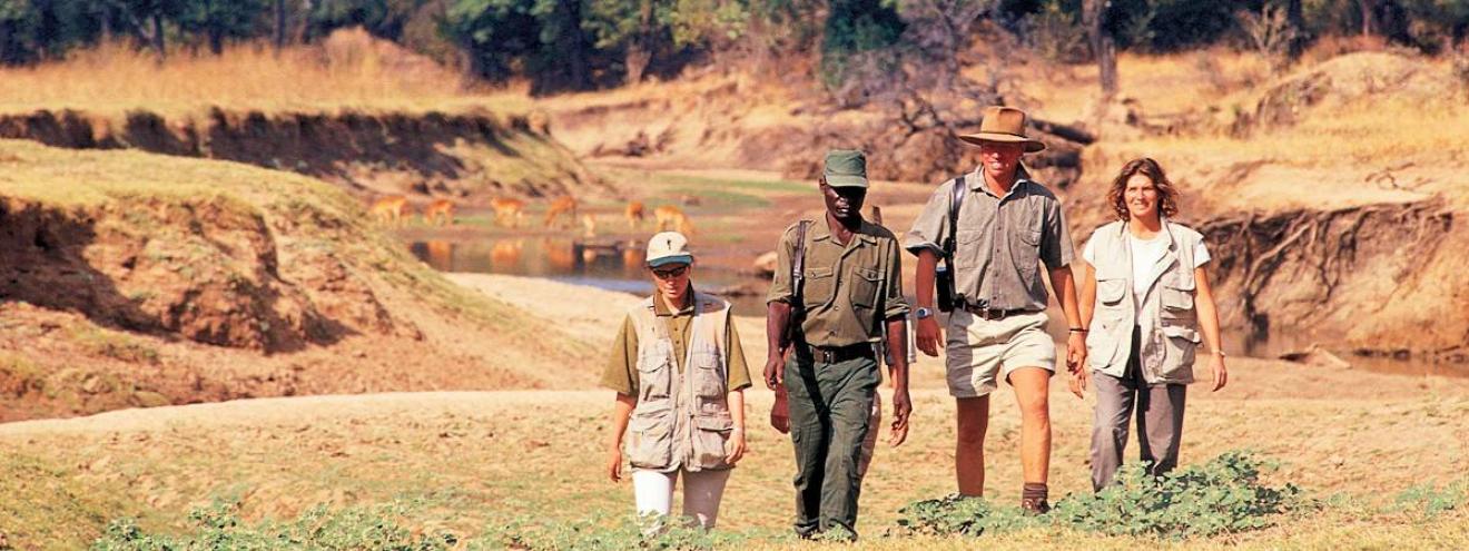 Luangwa Walking Safari 8 days Nkwali Tena Tena bush camping Nsefu Robin Pope Safaris Zambia