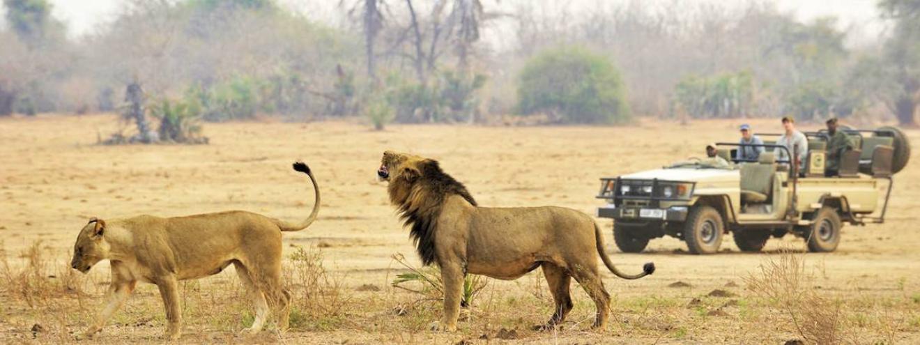 Zambia Two Rivers Safari 9 days Anabezi Lower Zambezi Tena Tena South Luangwa Robin Pope