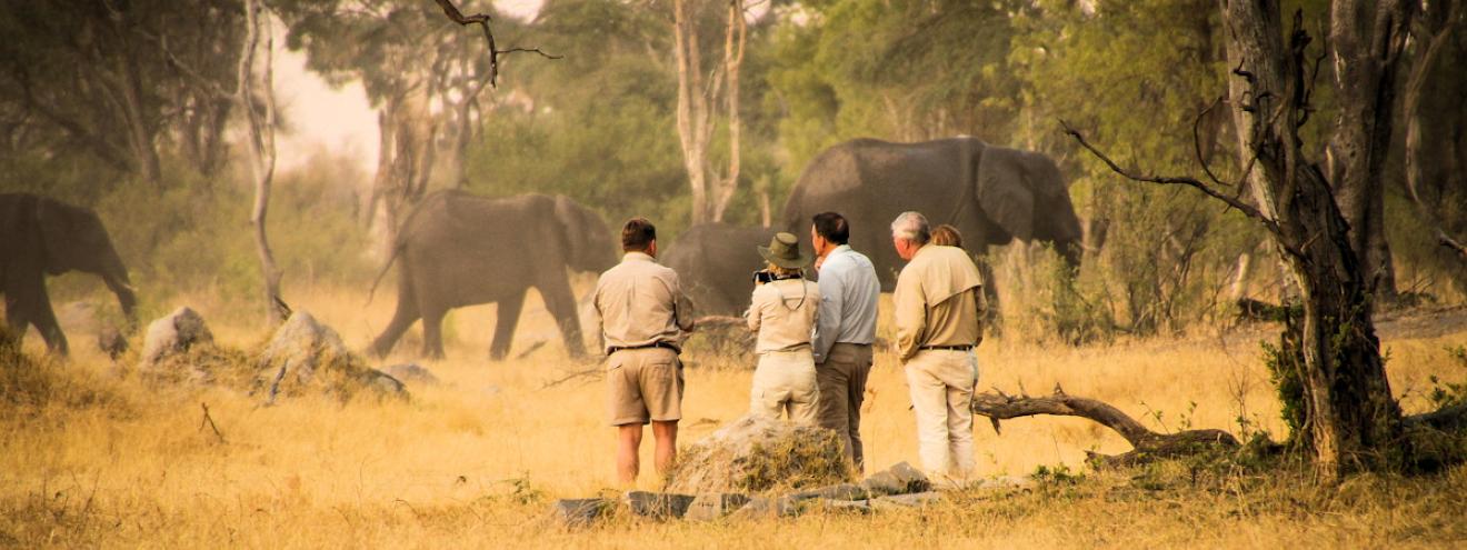Hwange National Park 14500km² 40000 elephants lion leopard wild dog Zimbabwe largest park