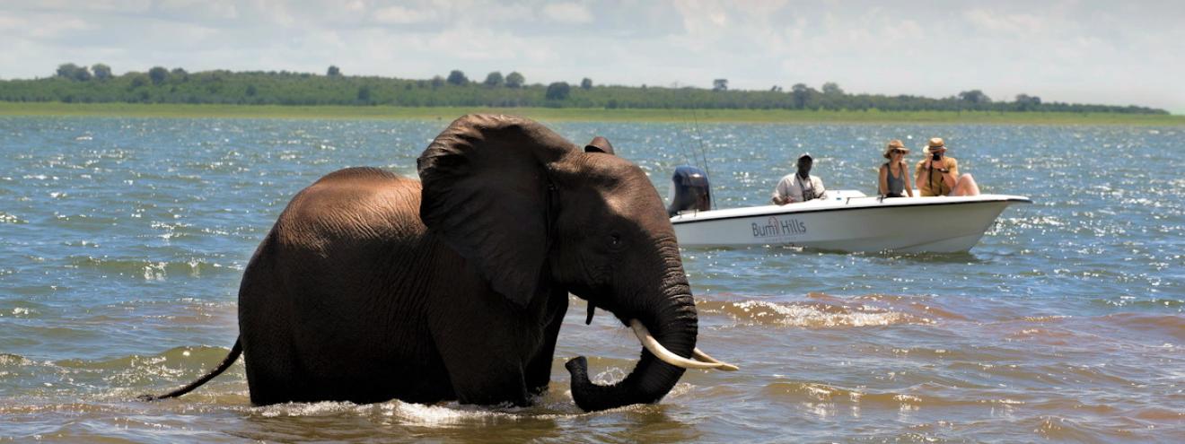 Lake Kariba 290km second largest man-made dam world Matusadona Zimbabwe houseboat fishing