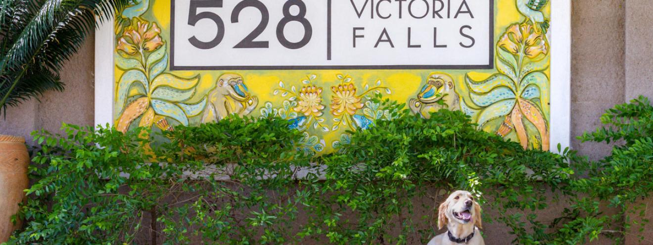 528 Victoria Falls 8-suite boutique guesthouse owner-operated Treetops bar Zimbabwe